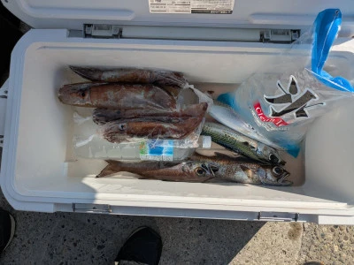 渡辺丸の2025年8月27日(水)1枚目の写真