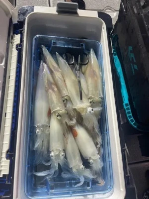 第二大福丸の2025年8月20日(水)3枚目の写真