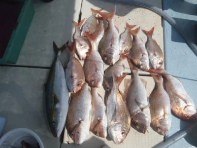 まお丸の2025年8月24日(日)1枚目の写真