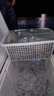 紀丸の2025年8月28日(木)3枚目の写真