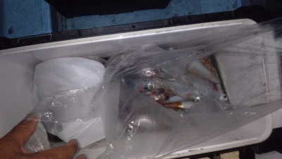 紀丸の2025年8月28日(木)4枚目の写真