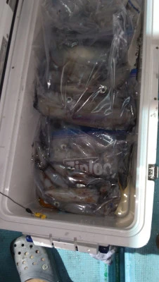 紀丸の2025年8月29日(金)1枚目の写真