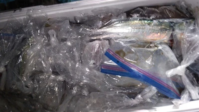 紀丸の2025年8月29日(金)2枚目の写真