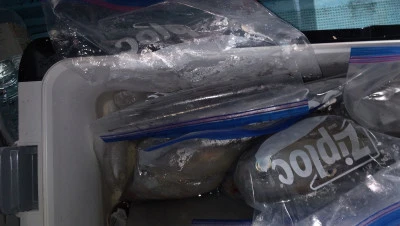 紀丸の2025年8月29日(金)3枚目の写真