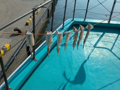 渡辺丸の2025年8月30日(土)2枚目の写真