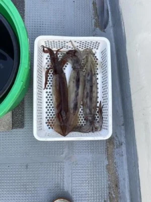 佐円丸の2025年8月30日(土)1枚目の写真