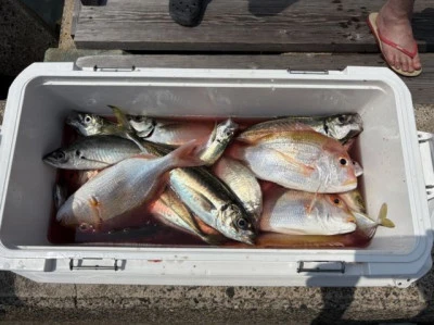 フィッシングセンター 海友の2025年8月24日(日)4枚目の写真