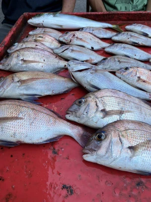 奥村釣船の2025年8月28日(木)5枚目の写真