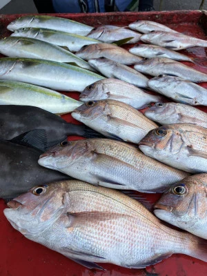 奥村釣船の2025年8月29日(金)4枚目の写真