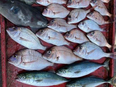 奥村釣船の2025年8月29日(金)5枚目の写真