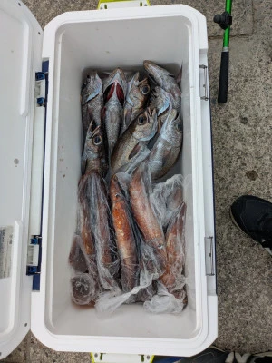 渡辺丸の2025年9月4日(木)1枚目の写真