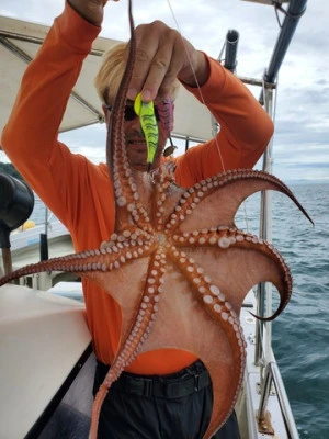 遊漁船 ニライカナイの2025年9月4日(木)3枚目の写真