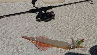 ヨシダマリンの2025年8月30日(土)2枚目の写真