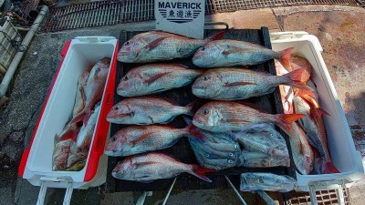 ヨシダマリンの2025年8月30日(土)3枚目の写真