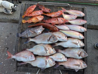 ヨシダマリンの2025年8月30日(土)4枚目の写真