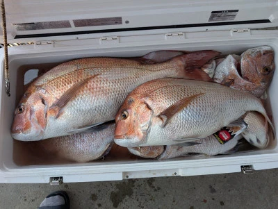 ヨシダマリンの2025年8月30日(土)5枚目の写真