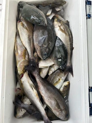 丸銀釣りセンターの2025年8月31日(日)2枚目の写真