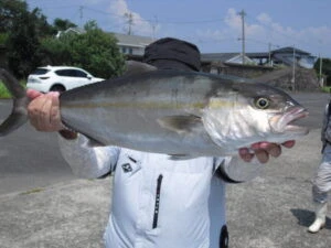 絢美丸の2025年8月29日(金)1枚目の写真