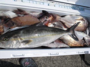 絢美丸の2025年8月29日(金)2枚目の写真