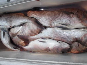 絢美丸の2025年8月29日(金)3枚目の写真