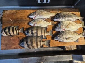 民宿とねの2025年8月28日(木)1枚目の写真