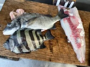 民宿とねの2025年8月29日(金)1枚目の写真