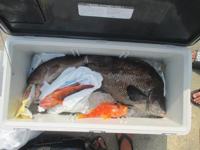 隆星丸の2025年8月29日(金)3枚目の写真