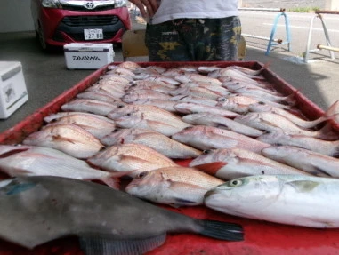 奥村釣船の2025年9月6日(土)3枚目の写真