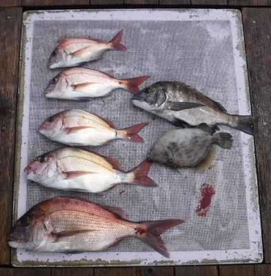 敏栄丸の2025年9月3日(水)1枚目の写真