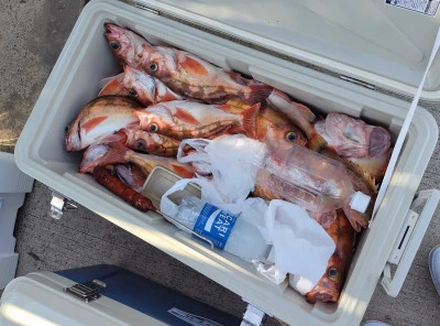 遊漁船ビックボーイの2025年9月7日(日)4枚目の写真