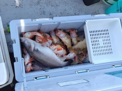 遊漁船ビックボーイの2025年9月7日(日)5枚目の写真