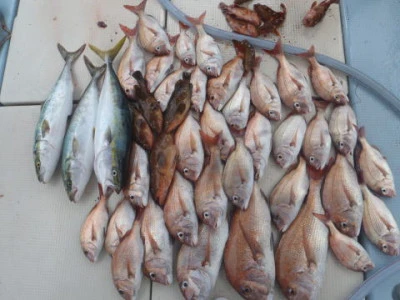 まお丸の2025年9月7日(日)1枚目の写真