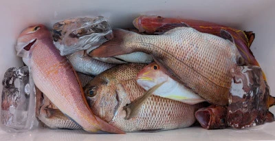 ヨシダマリンの2025年9月6日(土)1枚目の写真