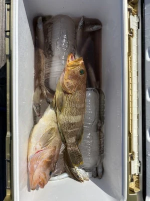 フィッシングセンター 海友の2025年8月30日(土)2枚目の写真