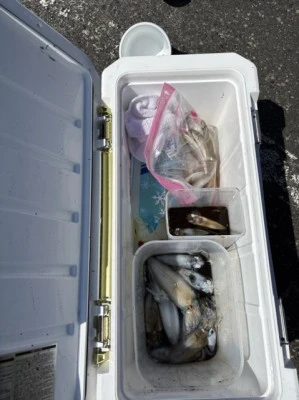 フィッシングセンター 海友の2025年8月30日(土)3枚目の写真