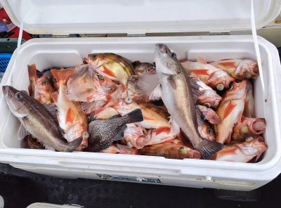 遊漁船ビックボーイの2025年9月9日(火)1枚目の写真