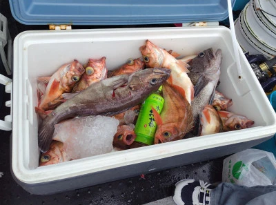 遊漁船ビックボーイの2025年9月9日(火)2枚目の写真