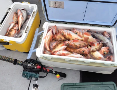 遊漁船ビックボーイの2025年9月9日(火)3枚目の写真