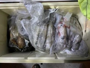 第３ 正幸丸の2025年8月28日(木)1枚目の写真