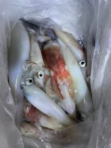 第３ 正幸丸の2025年8月30日(土)1枚目の写真