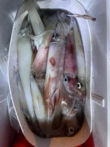 第３ 正幸丸の2025年8月30日(土)2枚目の写真