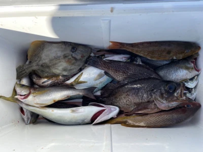 第３ 正幸丸の2025年8月30日(土)3枚目の写真