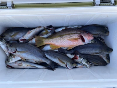 第３ 正幸丸の2025年8月30日(土)4枚目の写真