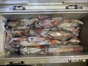 第３ 正幸丸の2025年9月2日(火)1枚目の写真