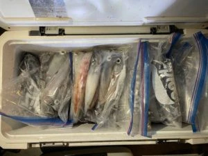 第３ 正幸丸の2025年9月2日(火)2枚目の写真