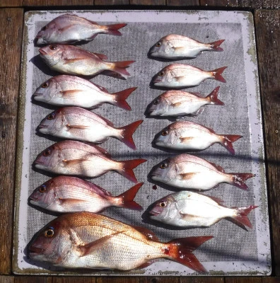 敏栄丸の2025年9月7日(日)1枚目の写真