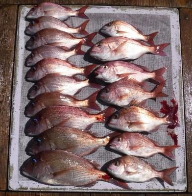 敏栄丸の2025年9月7日(日)2枚目の写真