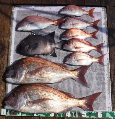 敏栄丸の2025年9月8日(月)2枚目の写真