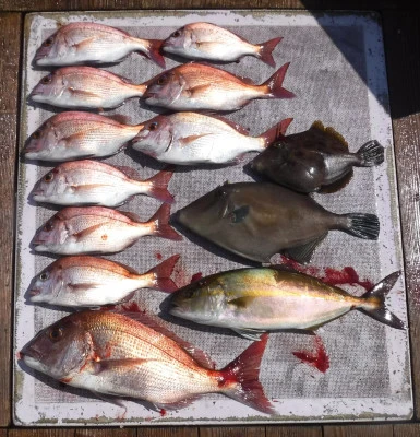 敏栄丸の2025年9月9日(火)2枚目の写真