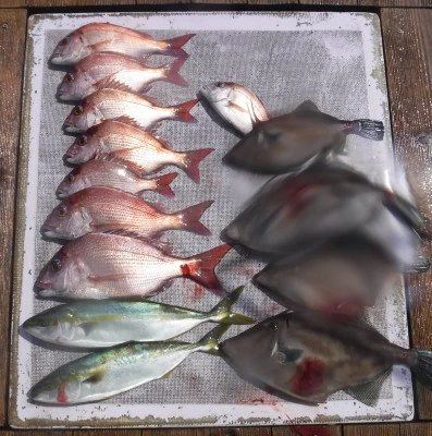 敏栄丸の2025年9月10日(水)1枚目の写真